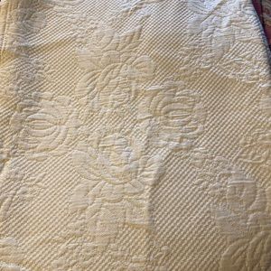 Charter Club shower curtain